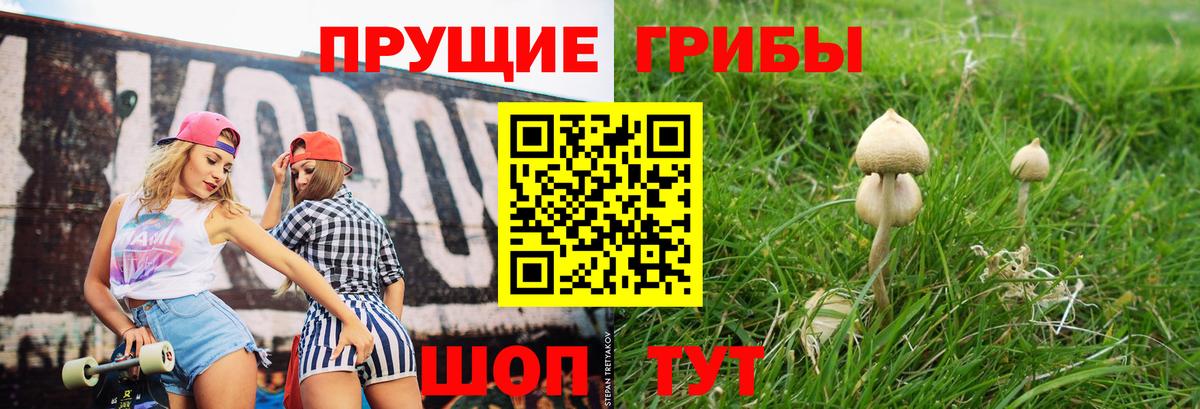 продажа наркотиков  Псилоцибиновые грибы Cubensis  Вход с VPN  Кыштым 